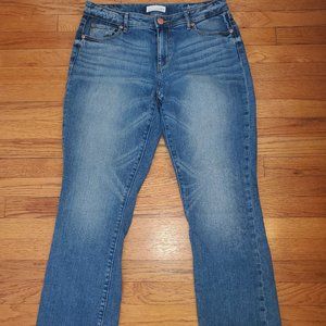 Ann Taylor Jeans